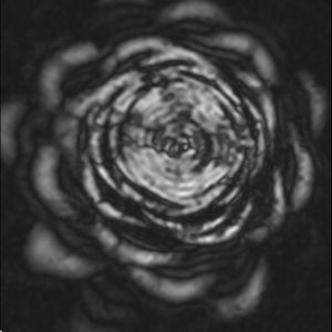 Meet your Posher, Daniela